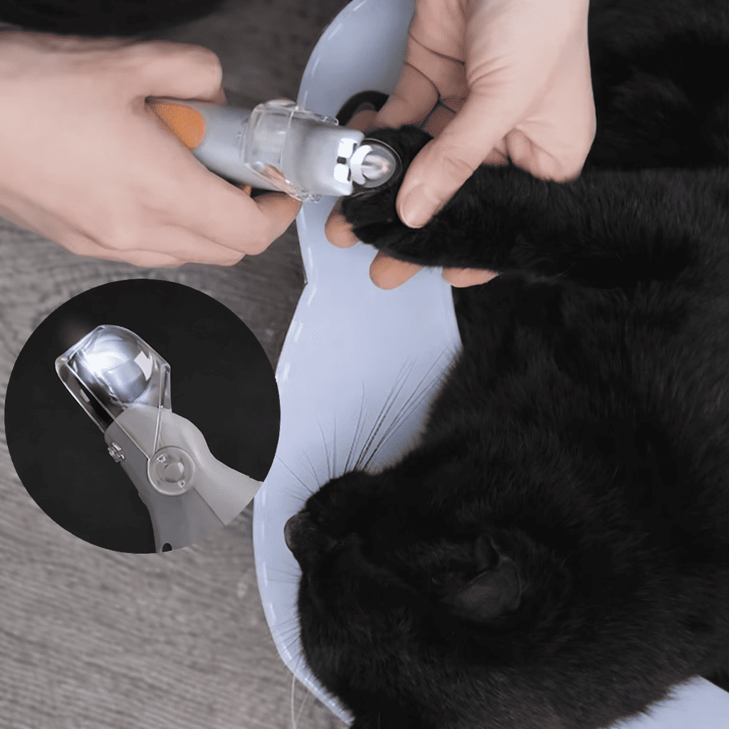 Pet nail clipper scissors with LED light